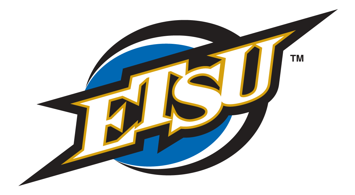 ETSU Buccaneers 2002-2013 Alternate Logo 11 vinyl decal